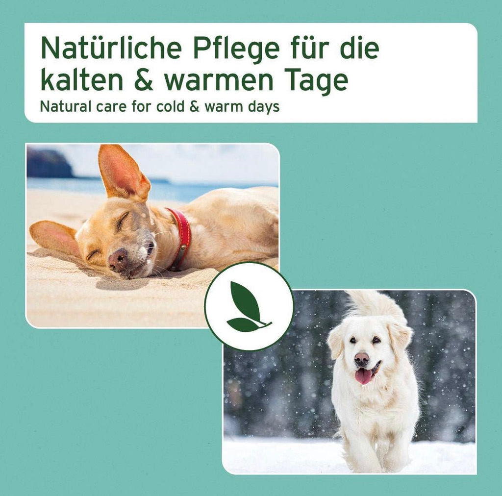 AniForte® Pfotenschutz Balsam für Hunde – Pfotenpflege