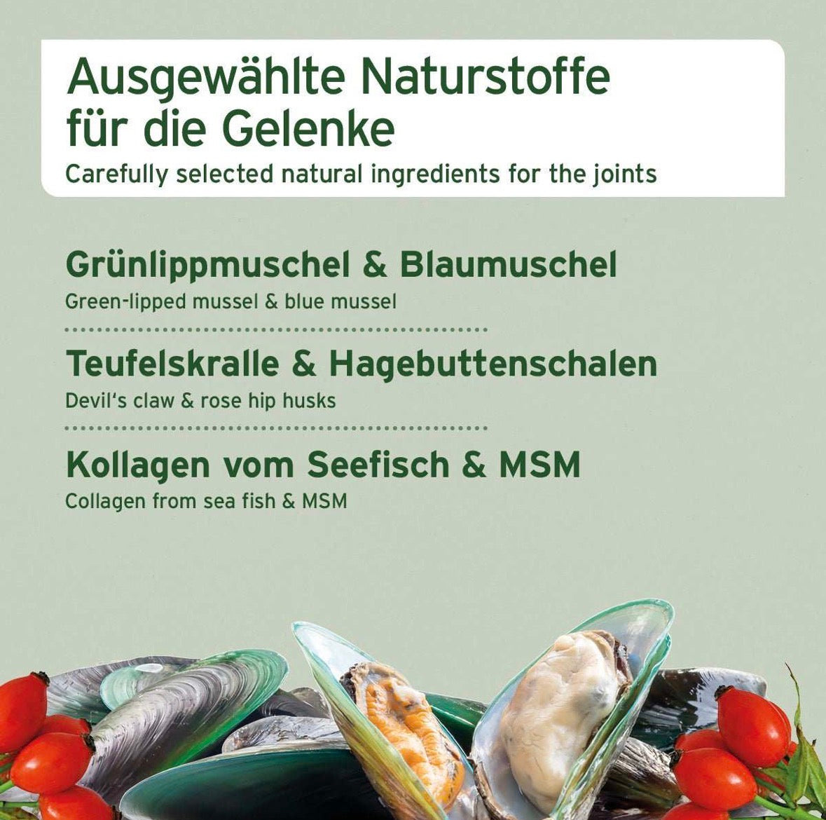 AniForte® Gelenk Snack für Hunde – mit Grünlippmuschel