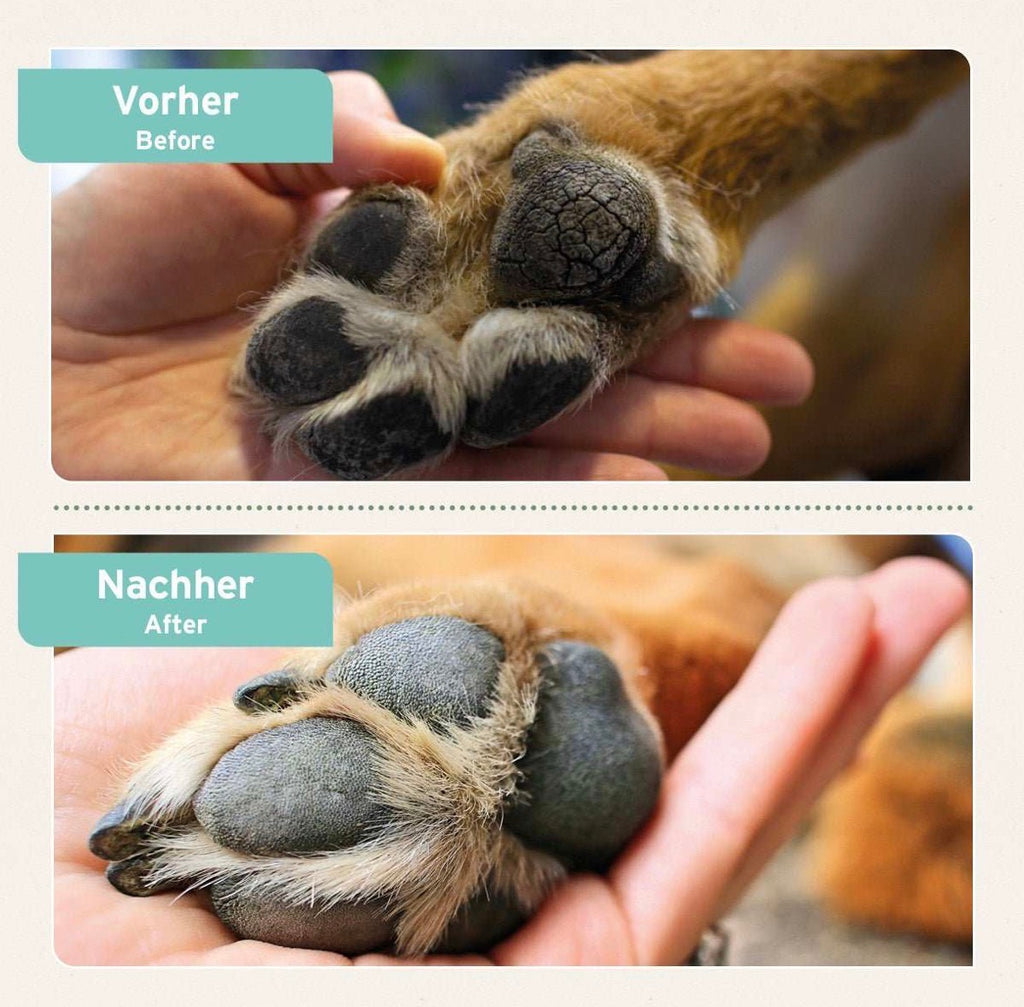 AniForte® Pfotenschutz Balsam für Hunde – Pfotenpflege