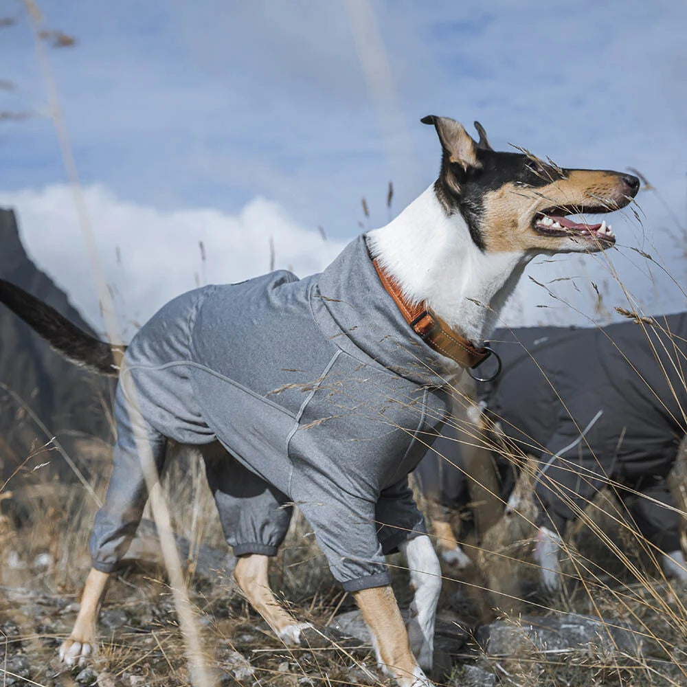 Hurtta Body Warmer – Wärmender Hundeoverall mit Thermofunktion