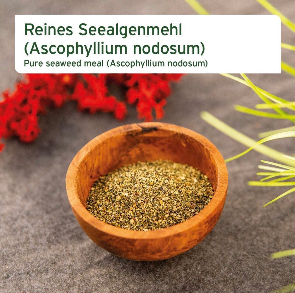 AniForte® BARF-Line Seealgenmehl für Hunde – natürliche Jodquelle zum BARFen