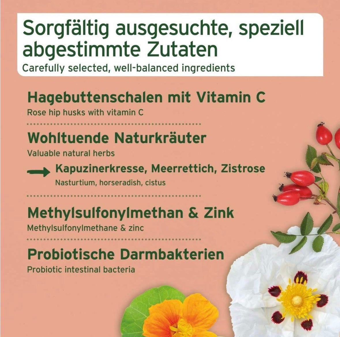 AniForte® Immun-Boost Snack für Hunde – mit Pute