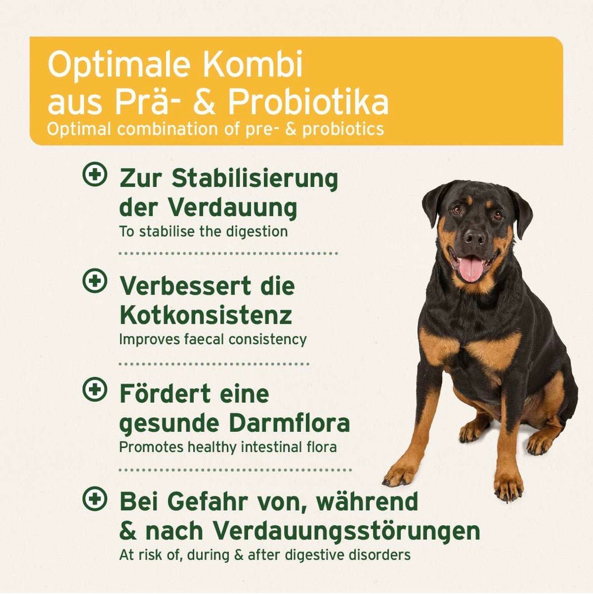 AniForte® plus Probiotikum Tabs für Hunde – Darmflora & Verdauung - 90 Stück