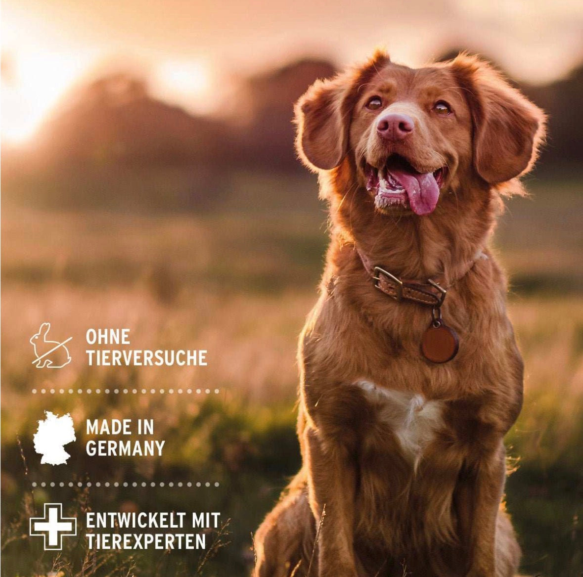 AniForte® Fellharmonie Conditioner Kokos für Hunde – 200 ml