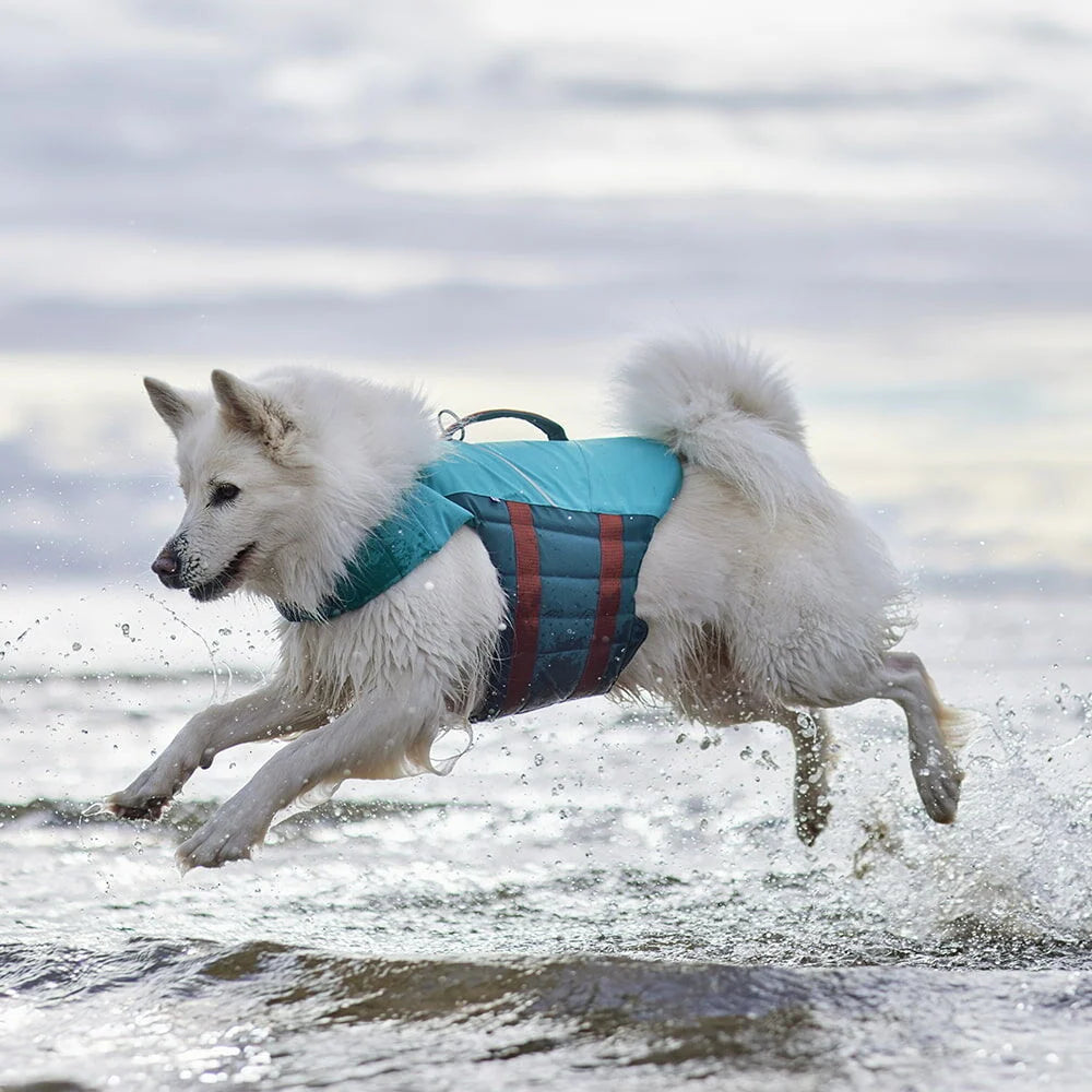 Hurtta Life Savior ECO – Schwimmweste für Hunde