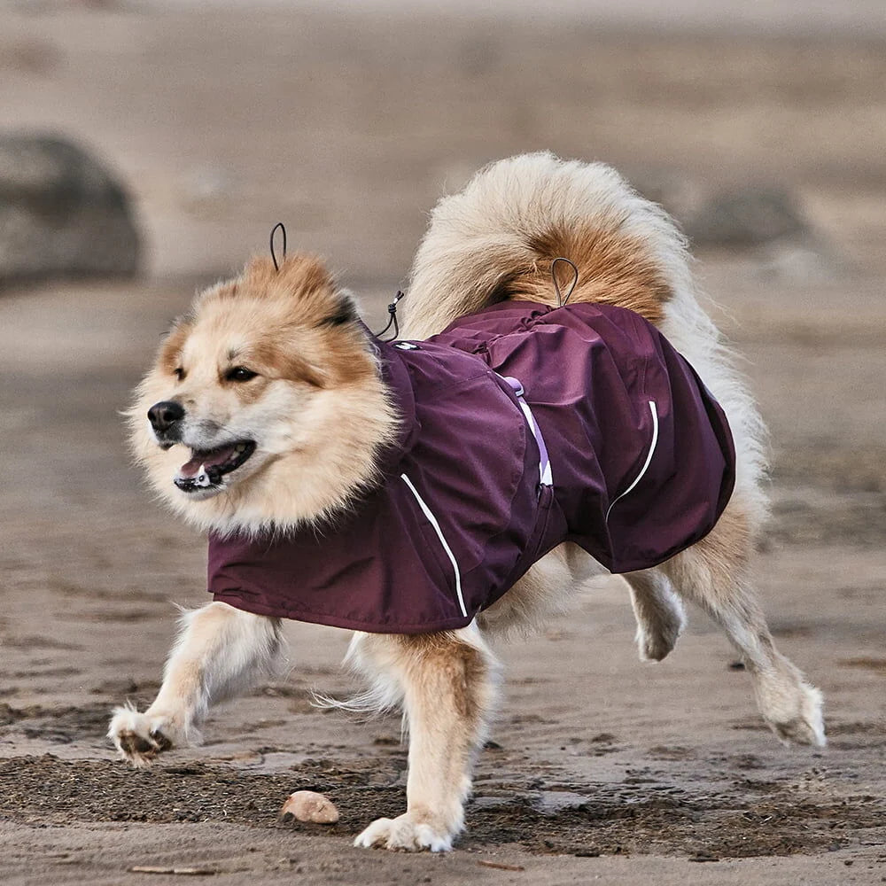 Hurtta Mudventure Coat ECO – Wasserdichter Regenmantel für Hunde