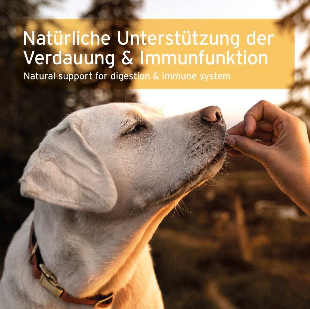 AniForte® Prebiotic TopinPur VET für Hunde – 30 ml