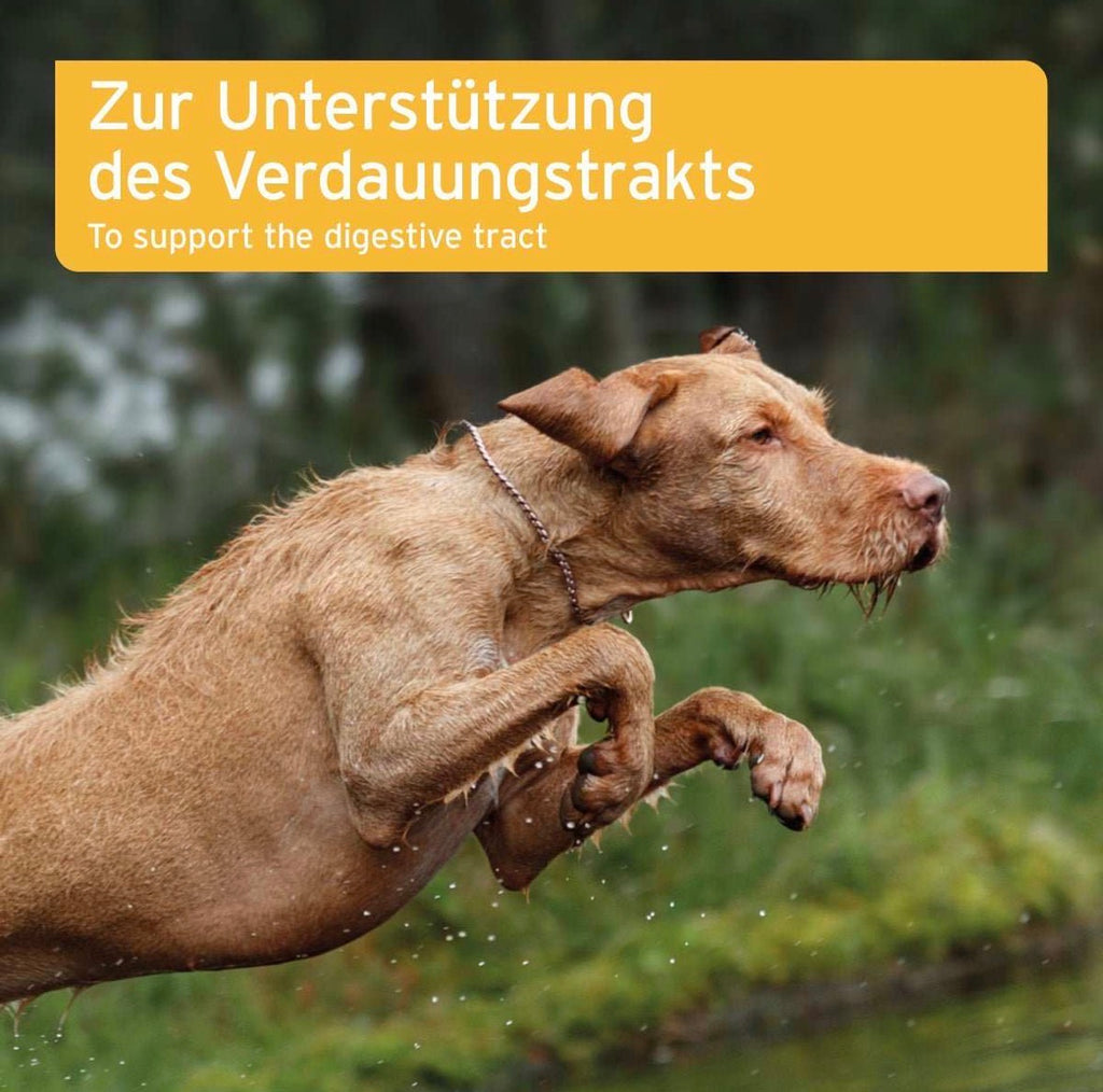 AniForte® plus Magen & Darm
 – 90 Tabletten für Hunde