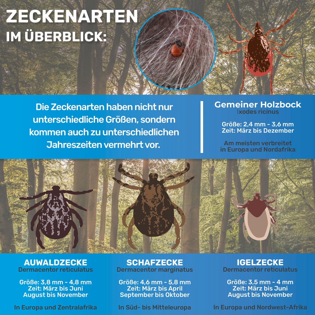 Zeckenentferner-Set für Hunde – 10-teilig mit Tasche