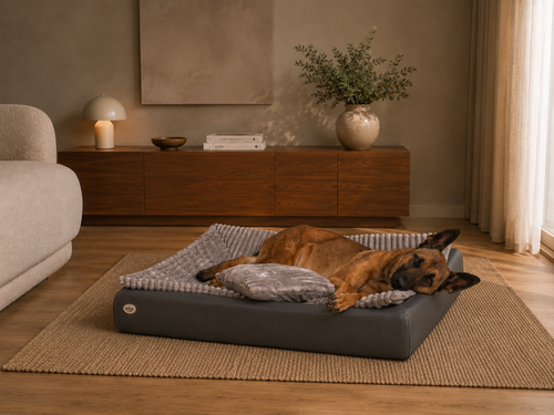 All-In Relax Bundle | KUDDE Hundebett + Einlage & Kissen