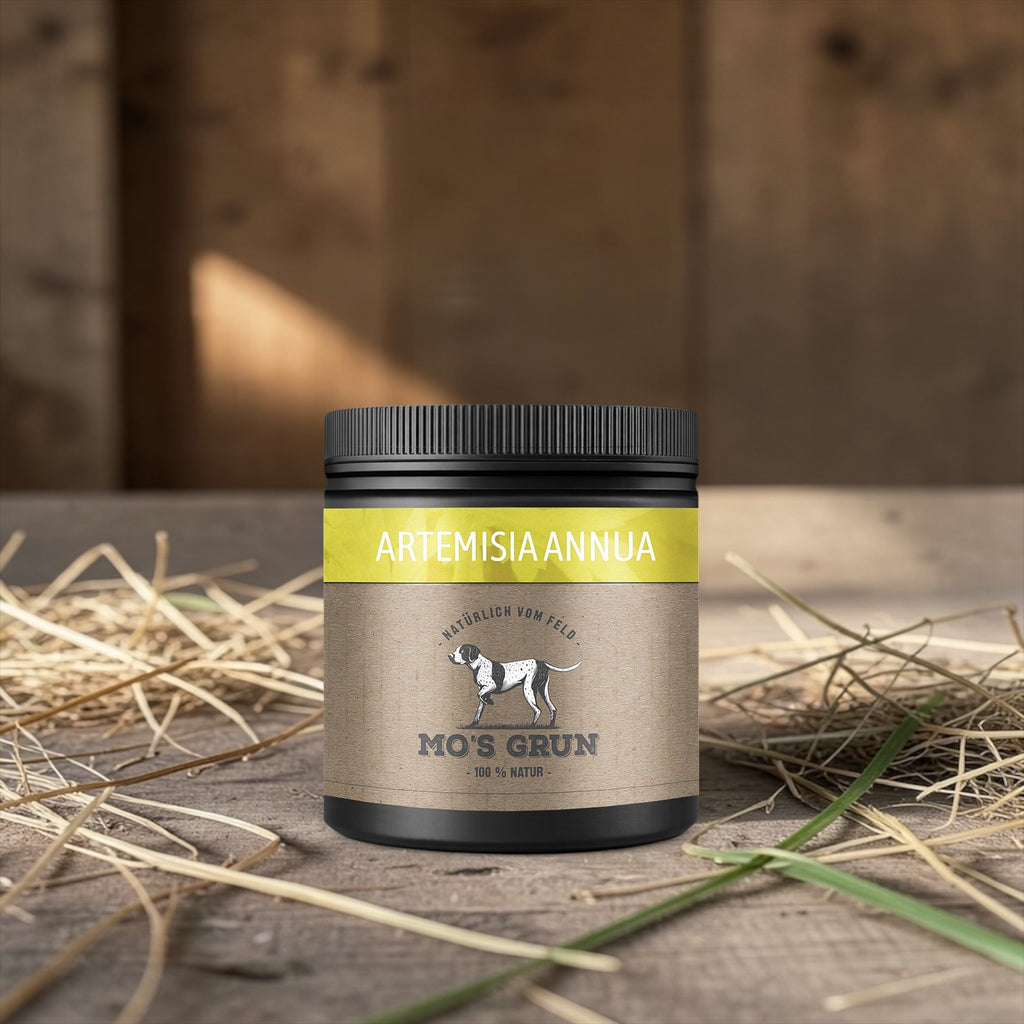 Artemisia Pulver für Hunde – 200 g