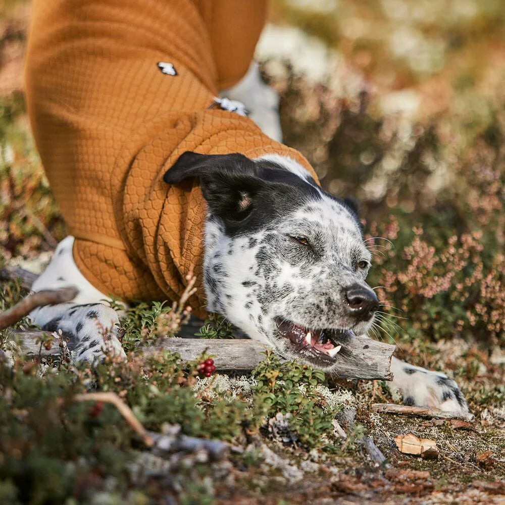 Hurtta Warming Midlayer ECO – Wärmende Hundejacke