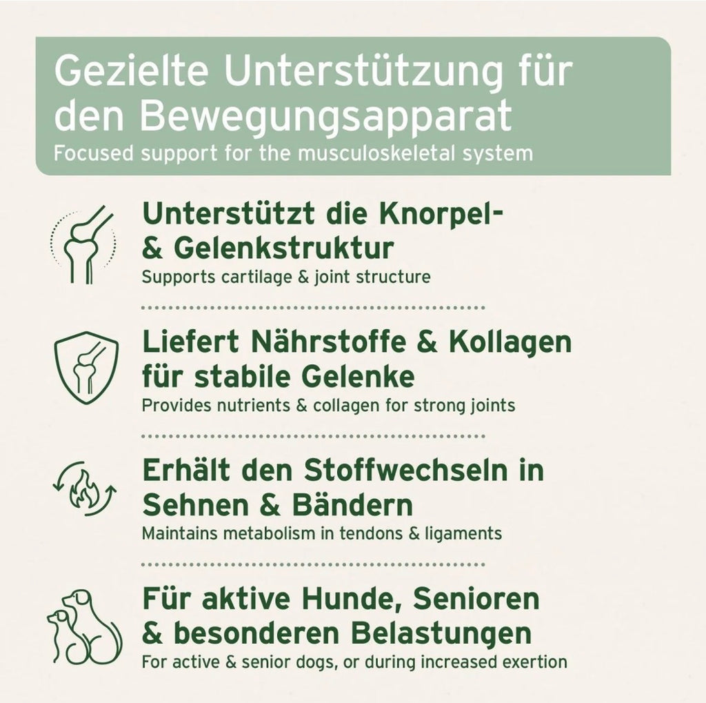 AniForte® Gelenktabletten mit MSM für Hunde – Gelenke & Beweglichkeit - 150 Stück