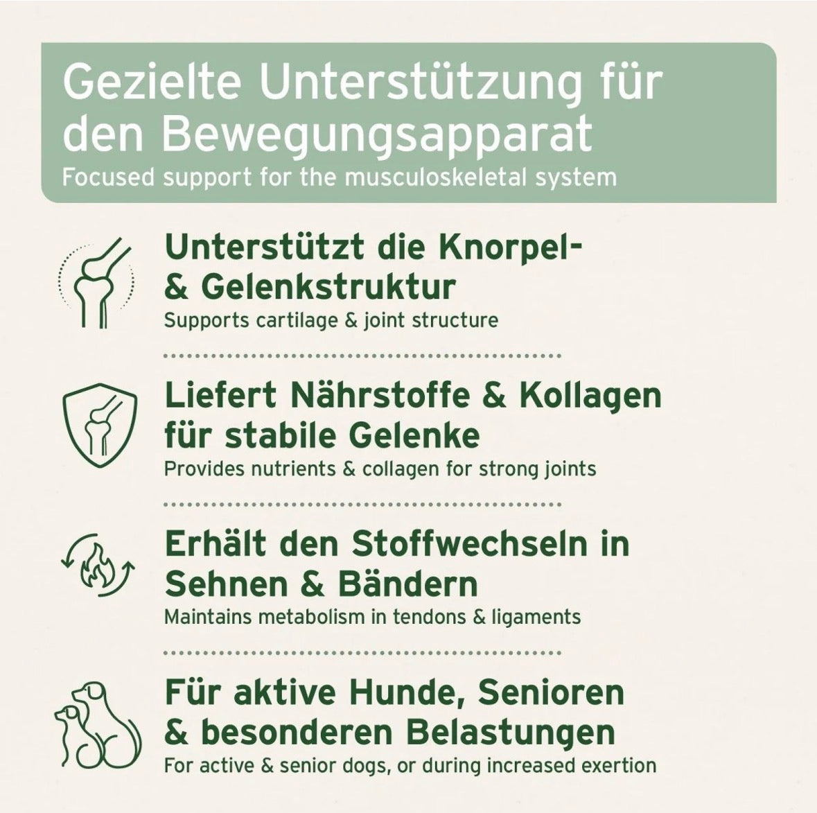 AniForte® Gelenktabletten mit MSM für Hunde – Gelenke & Beweglichkeit - 150 Stück