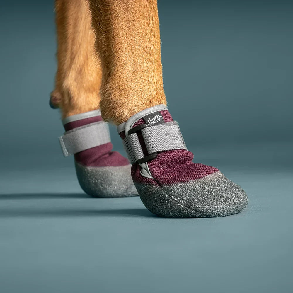Hurtta Weekend Warrior Boots – Hundeschuhe mit Pfotenschutz & Grip