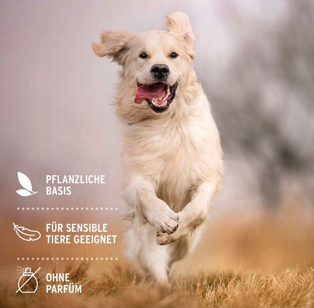 AniForte® Ohren-Reinigungspads mit Aloe Vera für Hunde – 100 Stück