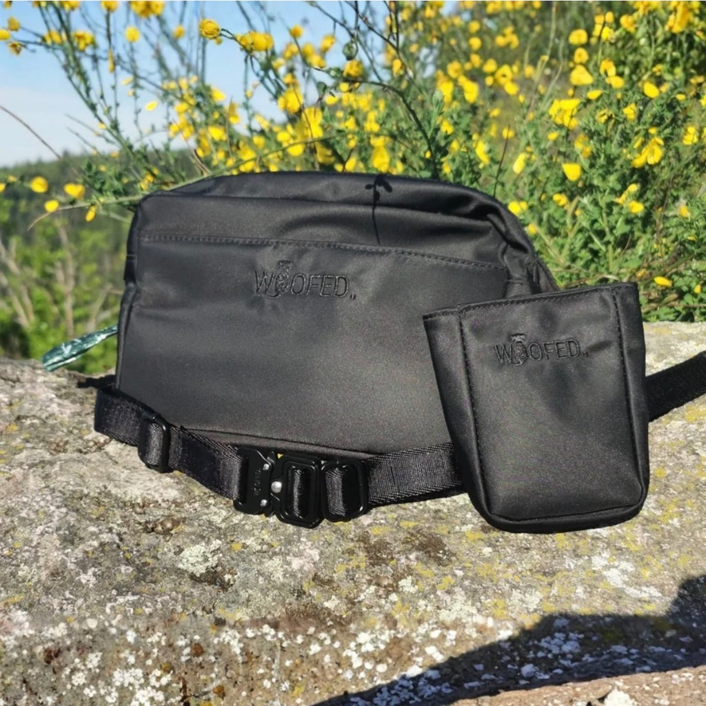 Multifunktionale Gassitasche 2-in-1 – Bauch- & Schultertasche