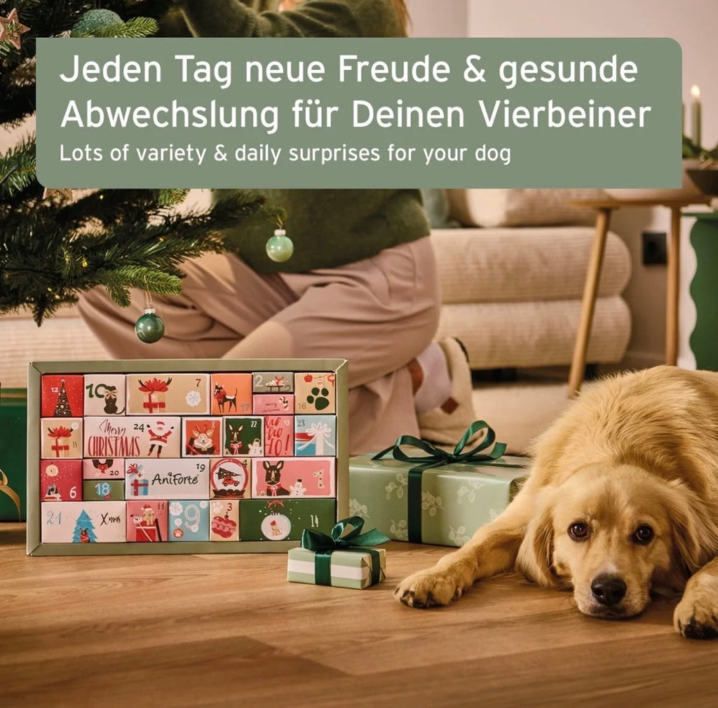 AniForte® Premium Adventskalender für Hunde – 24 Überraschungen