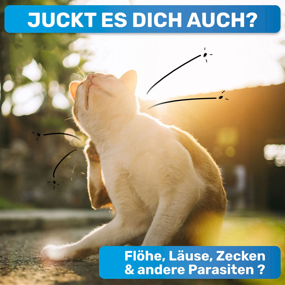 Flohkamm für Hunde – gegen Flöhe & Läuse