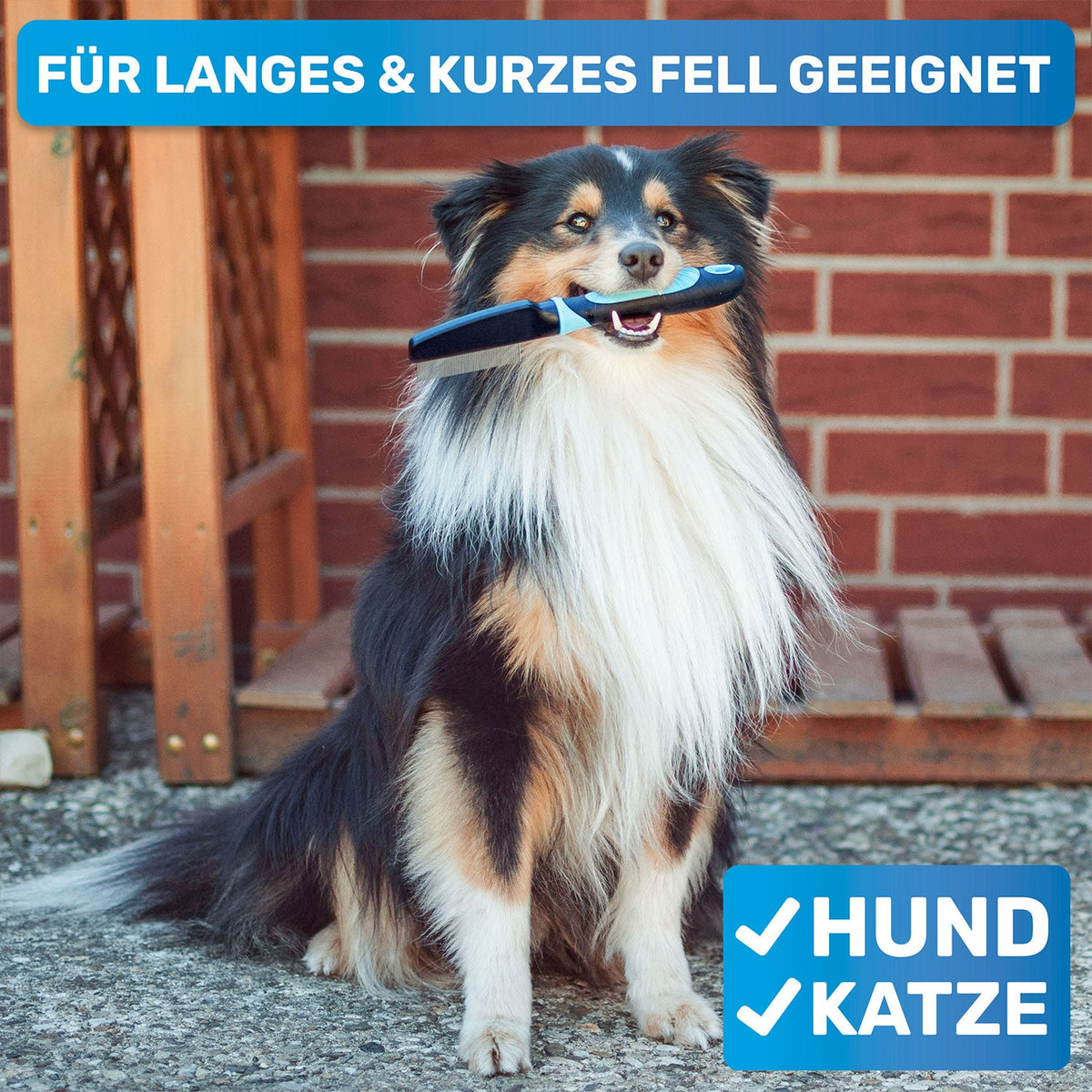 Flohkamm für Hunde – gegen Flöhe & Läuse