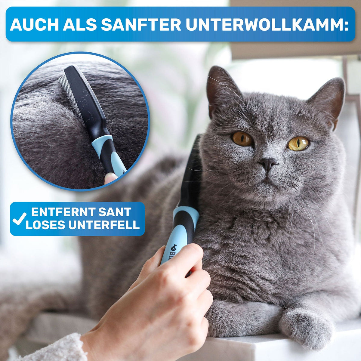 Flohkamm für Hunde – gegen Flöhe & Läuse