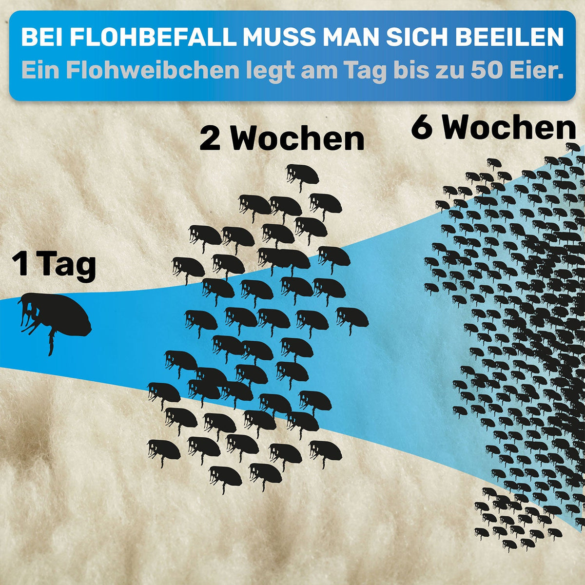 Flohkamm für Hunde – gegen Flöhe & Läuse