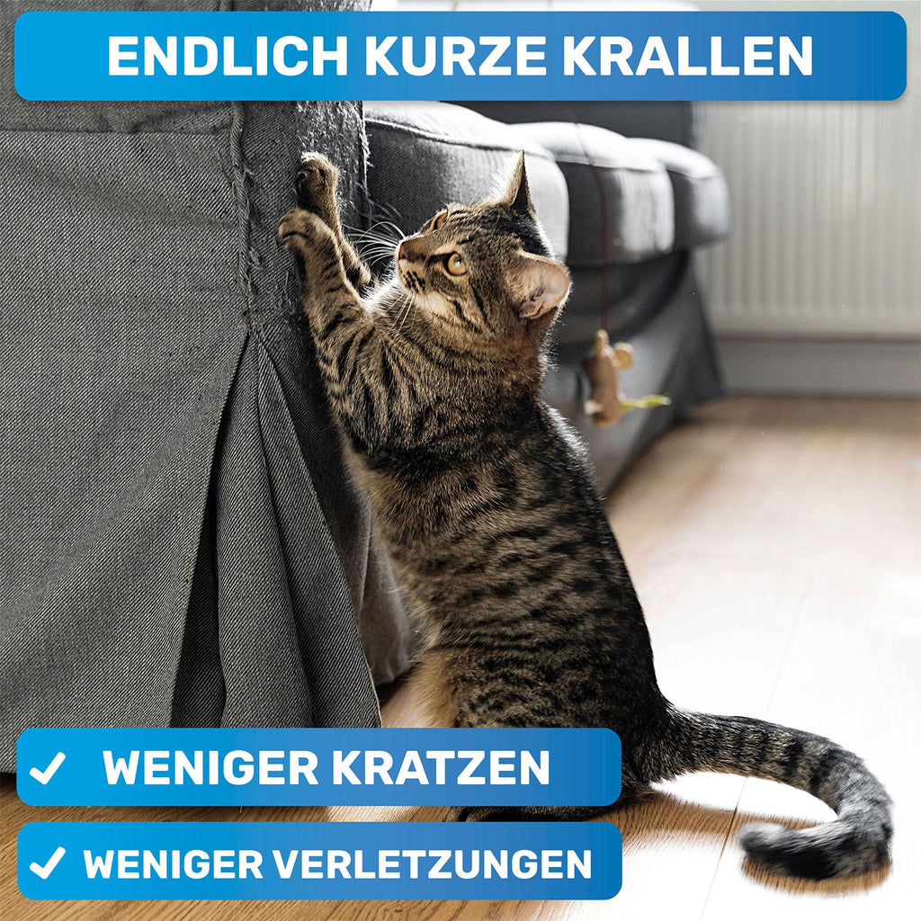 KrallenSchön Mini – Krallenschere für Welpen & kleine Hunde