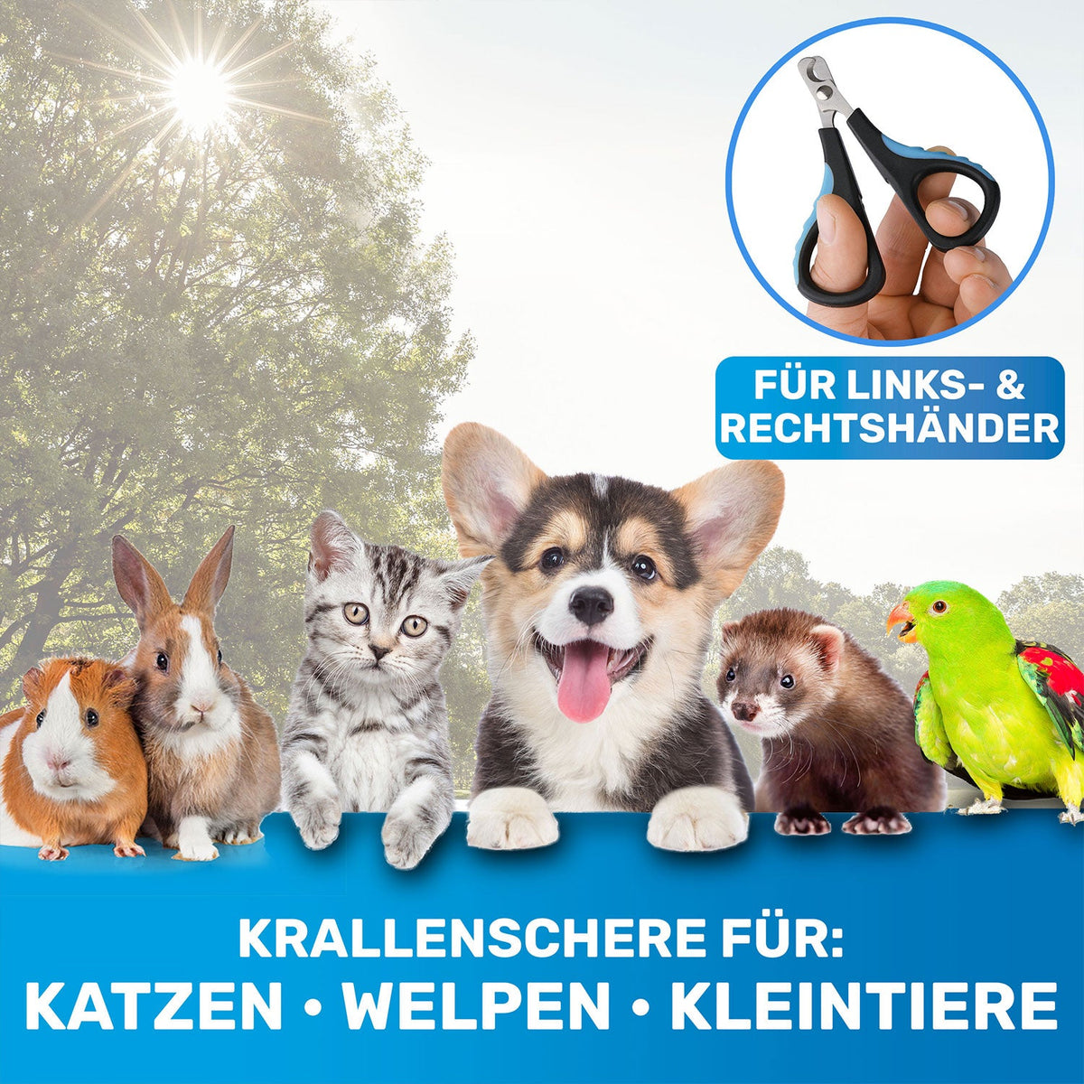 KrallenSchön Mini – Krallenschere für Welpen & kleine Hunde
