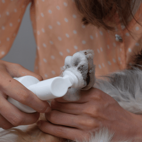 BluePet Pfotenschaum – Pfotenreiniger für Hunde, 200 ml
