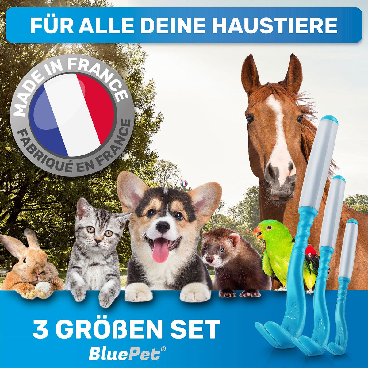 Premium Zeckenhaken 3er-Set mit Silikongriff – BluePet