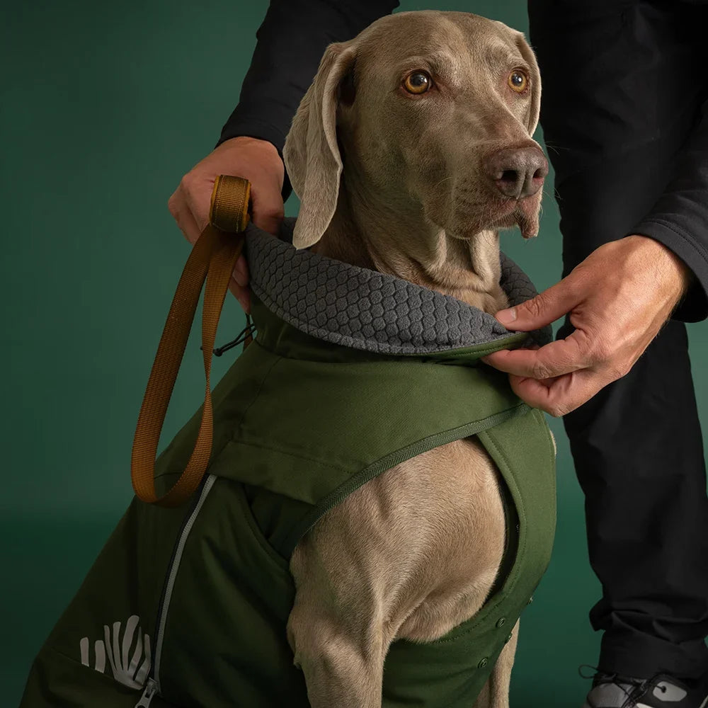Hurtta Walk All-Season Jacket – wasserdichte Übergangsjacke für Hunde