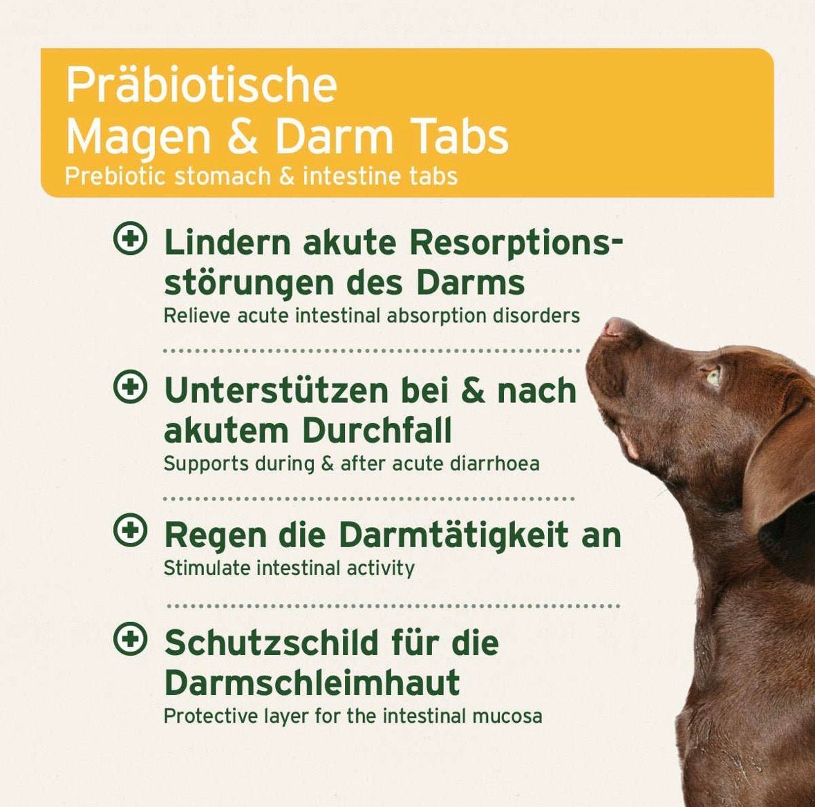 AniForte® plus Magen & Darm
 – 90 Tabletten für Hunde