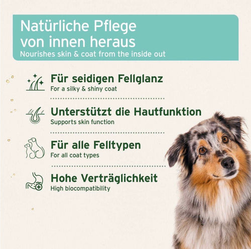 AniForte® Fellharmonie Futteröl für Hunde & Katzen – 500 ml