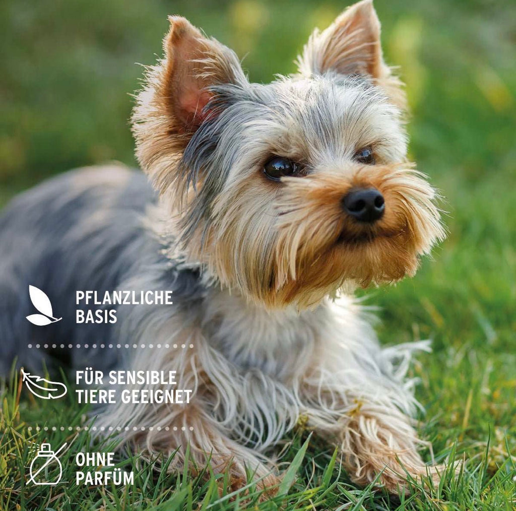 AniForte® Augen-Reinigungspads für Hunde – 100 Stück