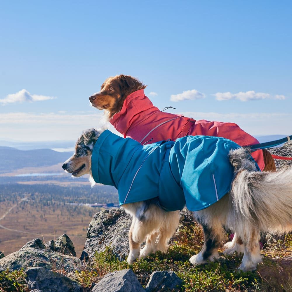 Hurtta Expedition Parka II – Warmer Wintermantel für Hunde