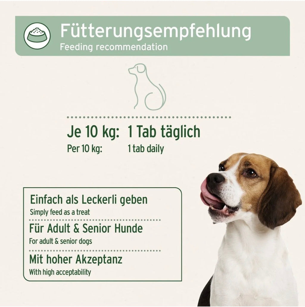 AniForte® Gelenktabletten mit MSM für Hunde – Gelenke & Beweglichkeit - 150 Stück