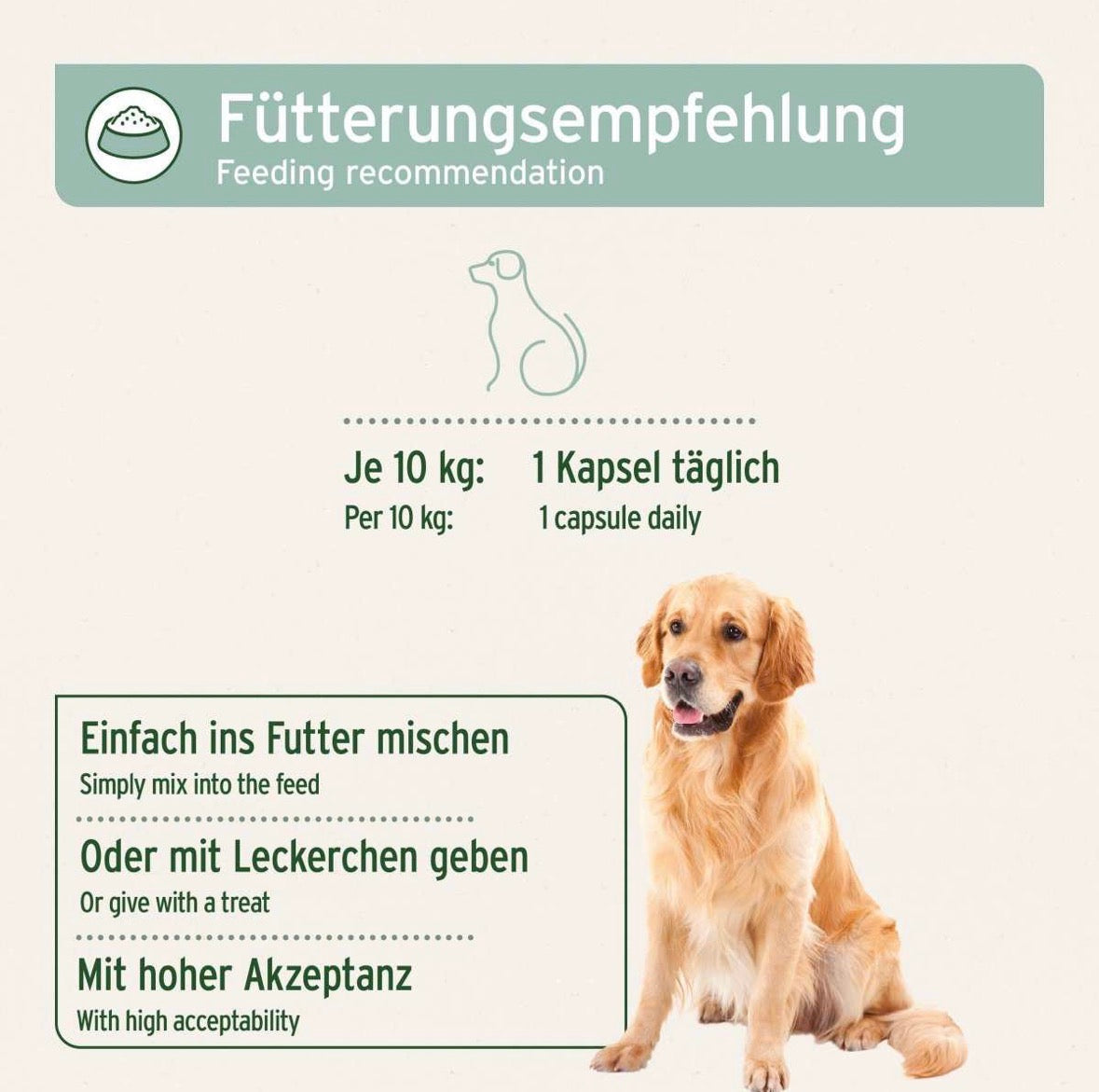 AniForte® Grünlippmuschel Kapseln für Hunde – Gelenke & Beweglichkeit