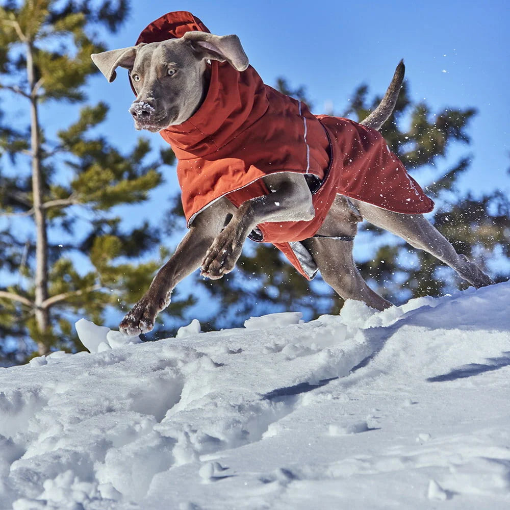 Hurtta Extreme Warmer III ECO – Extra warmer Wintermantel für Hunde