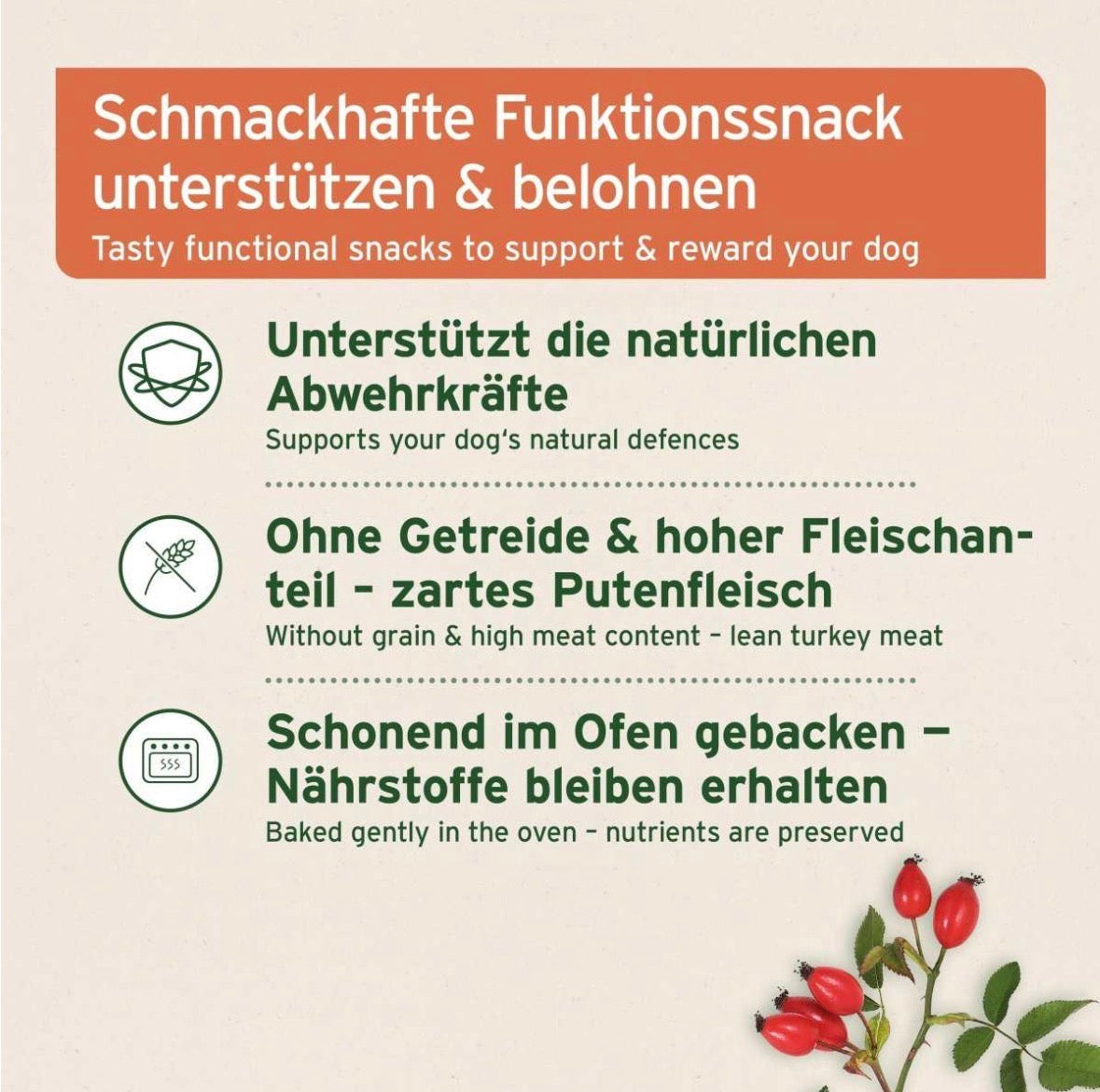 AniForte® Immun-Boost Snack für Hunde – mit Pute