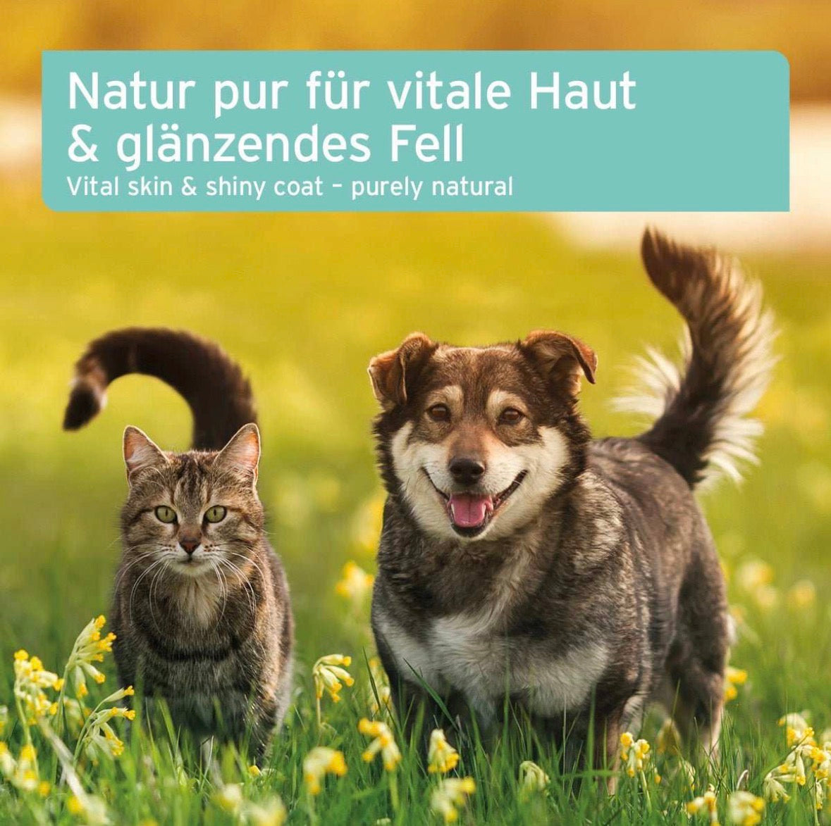 AniForte® Fellharmonie Futteröl für Hunde & Katzen – 500 ml