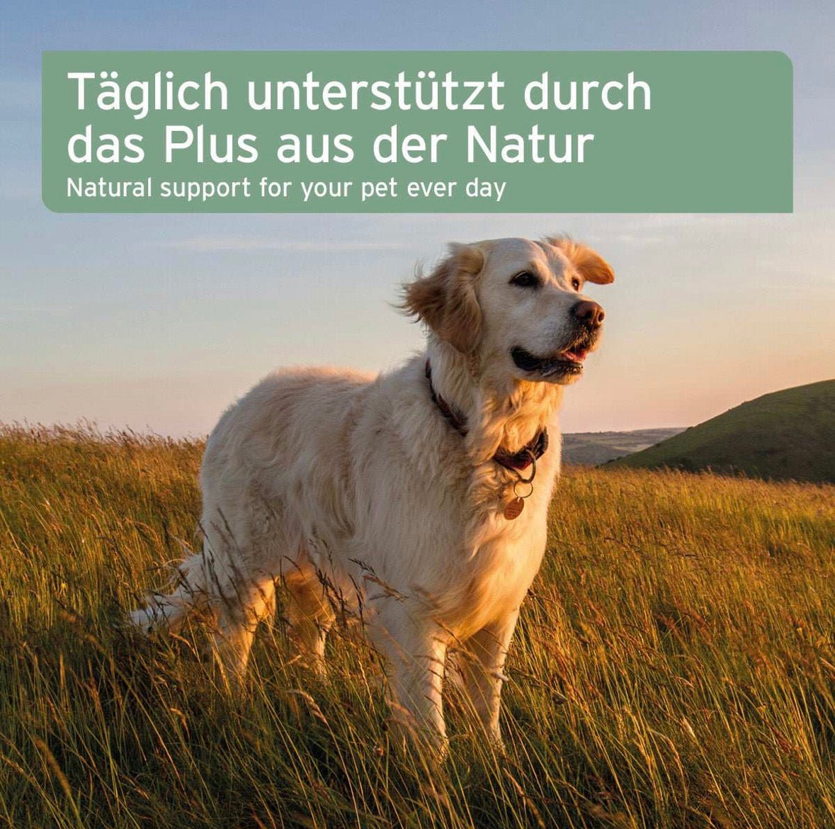 AniForte® Bio Kokosöl für Hunde – Futterergänzung & Fellpflege
