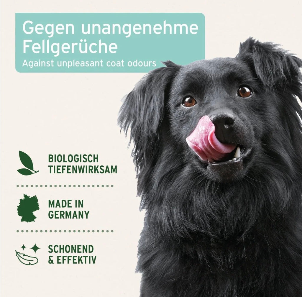 AniForte® Fellgeruch-STOP Spray für Hunde – 200 ml