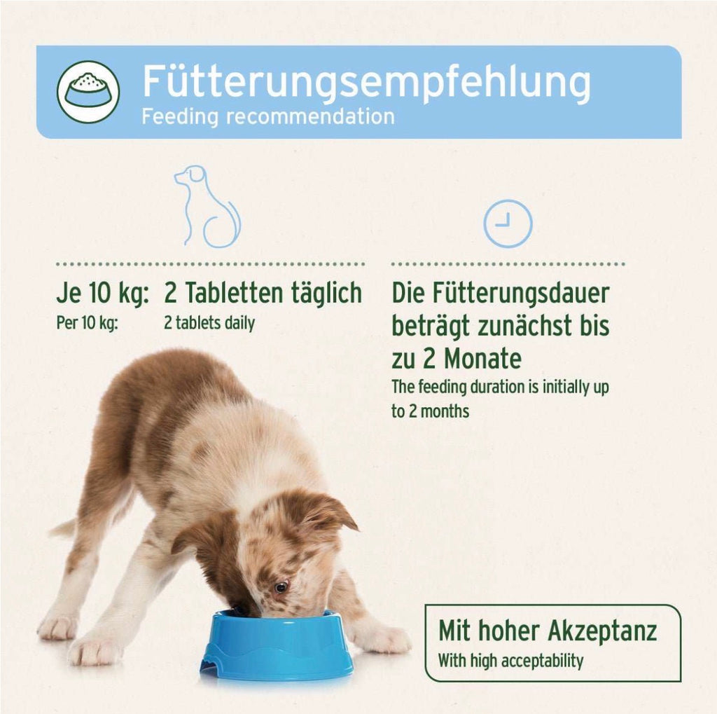 AniForte® plus Fell & Haut – 90 Tabletten für Hunde