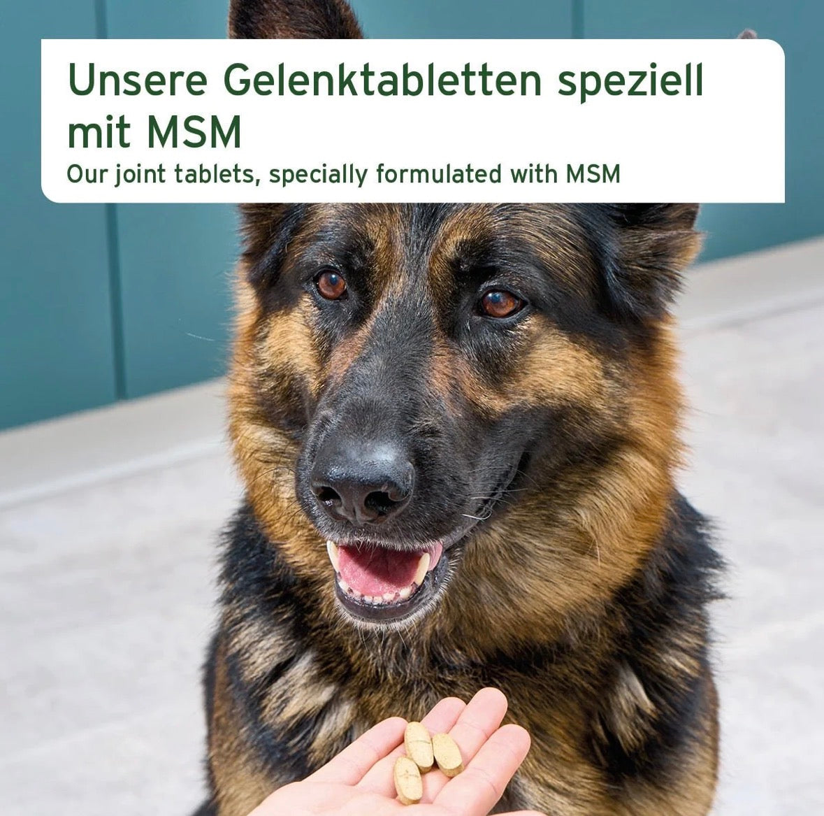 AniForte® Gelenktabletten mit MSM für Hunde – Gelenke & Beweglichkeit - 150 Stück
