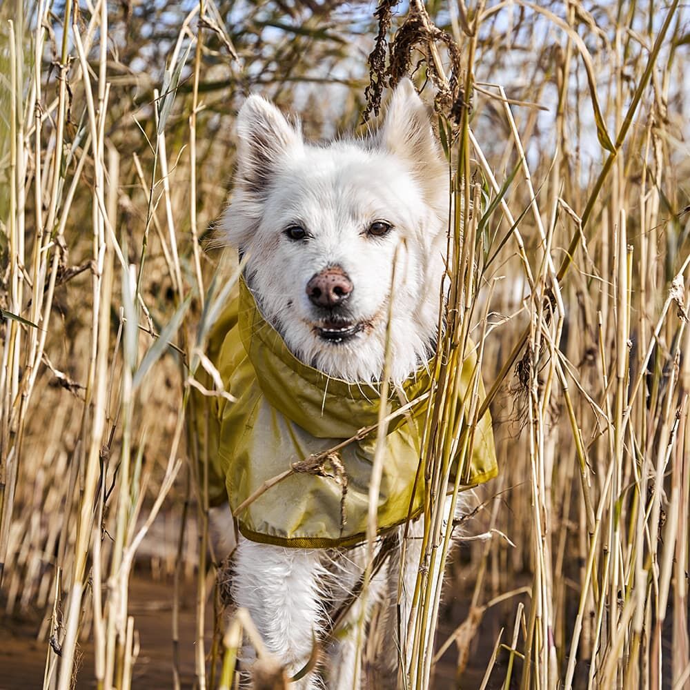 Hurtta Mudventure Reflective Coat – Reflektierender Regenmantel für Hunde