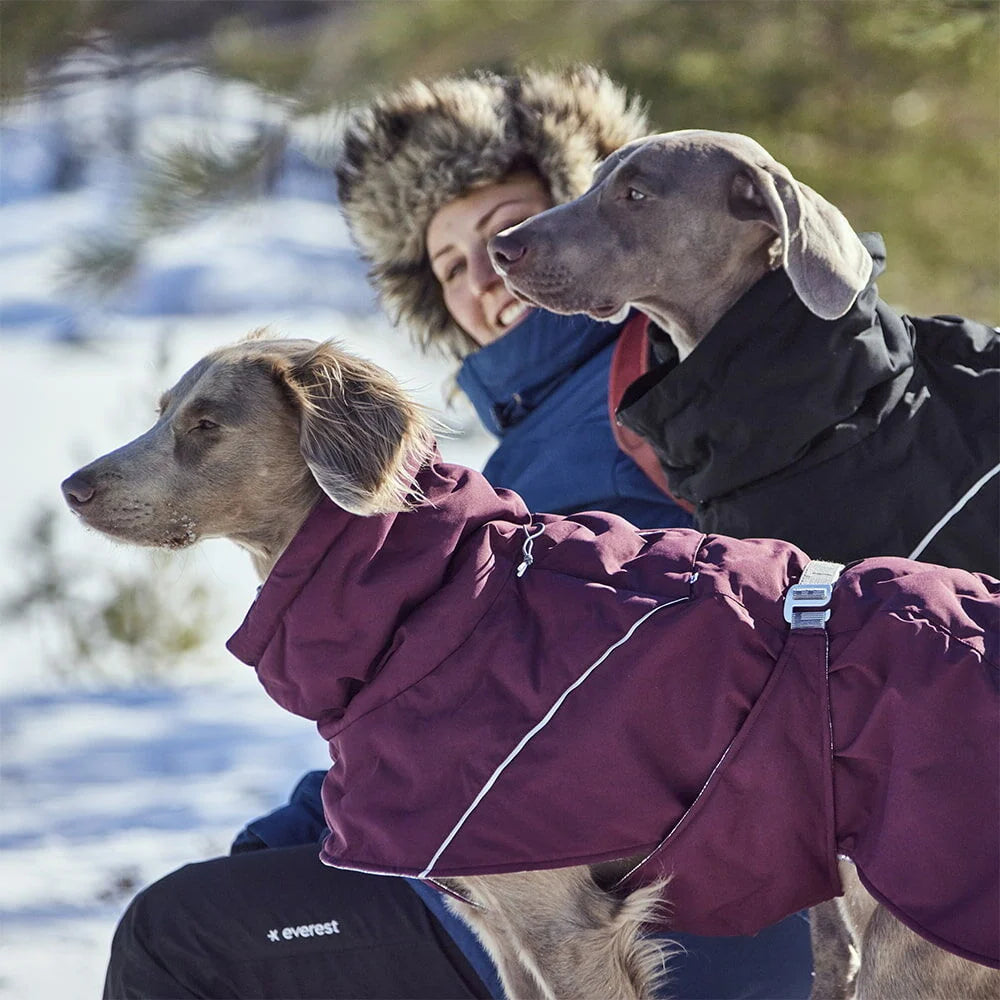 Hurtta Extreme Warmer III ECO – Extra warmer Wintermantel für Hunde
