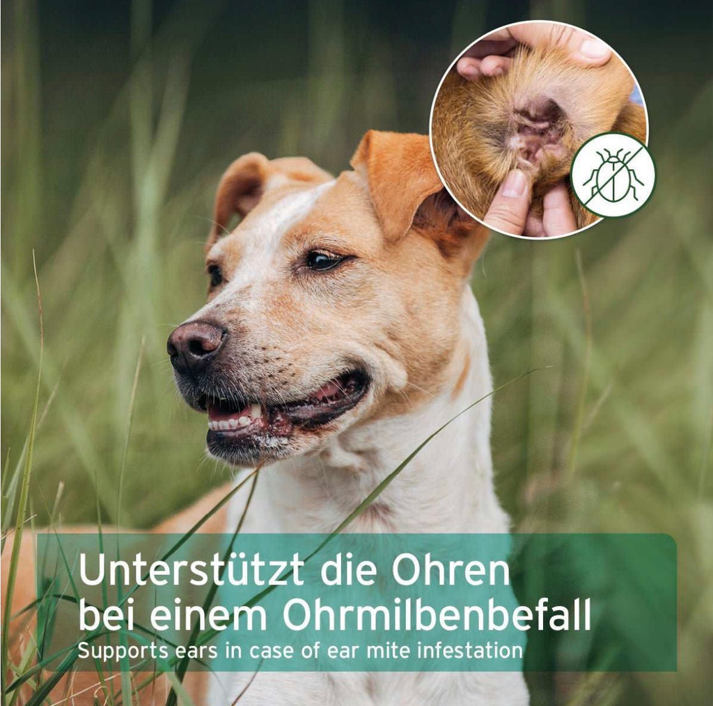 AniForte® Ohrmilbenöl für Hunde – Ohrenpflege
