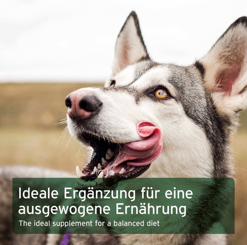 AniForte® BARF-Line Seealgenmehl für Hunde – natürliche Jodquelle zum BARFen