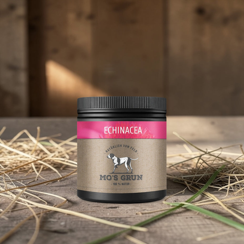 Echinacea Pulver für Hunde – 200 g