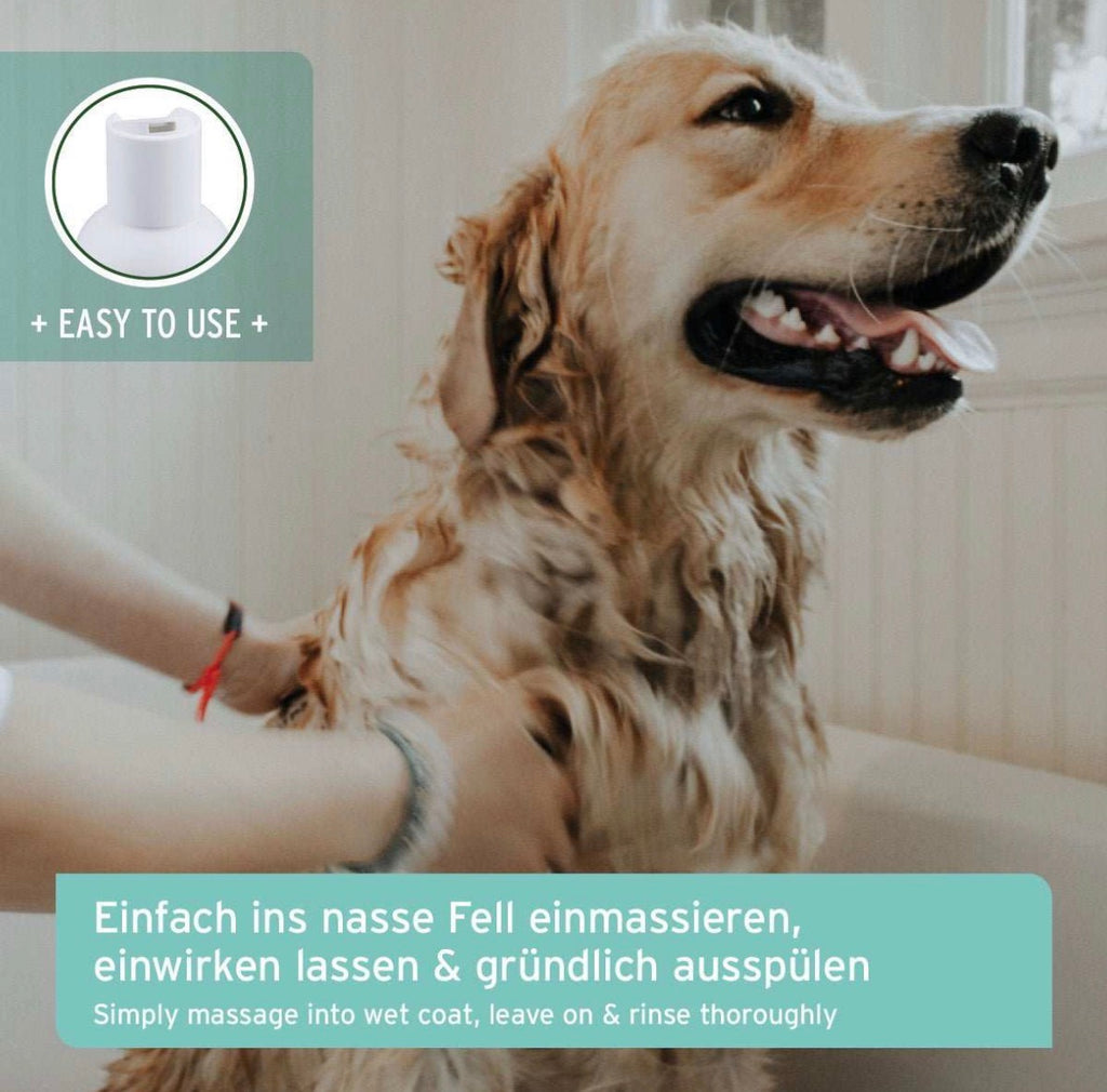 AniForte® Fellharmonie Shampoo Sensitiv für Hunde – 200 ml